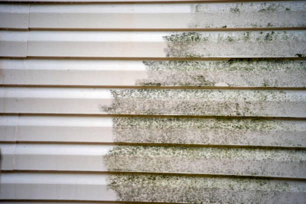 Best Aluminum Siding Installation  in Ohatchee, AL
