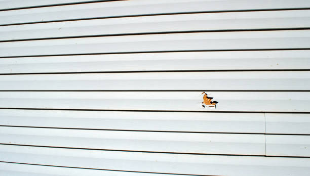 Ohatchee, AL Siding Installation Pros