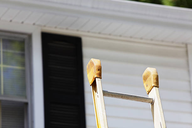 Best Brick Veneer Siding  in Ohatchee, AL
