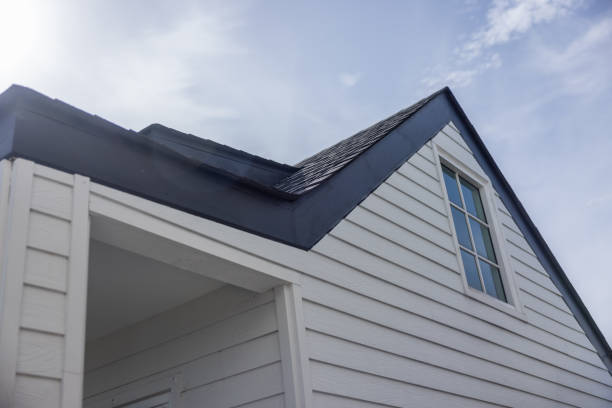 Best Siding Painting and Refinishing  in Ohatchee, AL